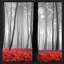 «Autumn Woods II» par Photoinc Studio - photographie-1305141082-1305141078