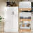 Brittlee 47.24'' Kitchen Pantry-1699144704