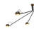 Bari 6 - Light Chandelier