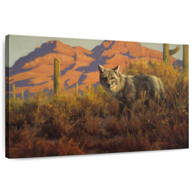Coyote du désert sauvage
