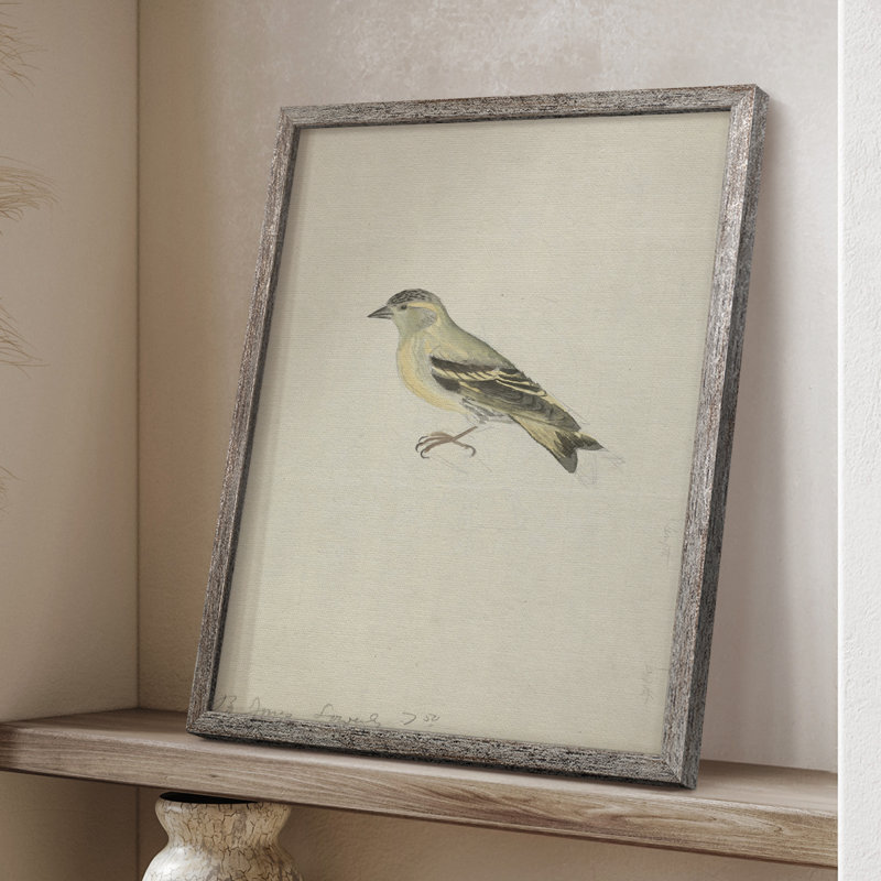 «Ximal Vintage Print», reproduction encadrée en bois massif, H 11 po x l 9 po