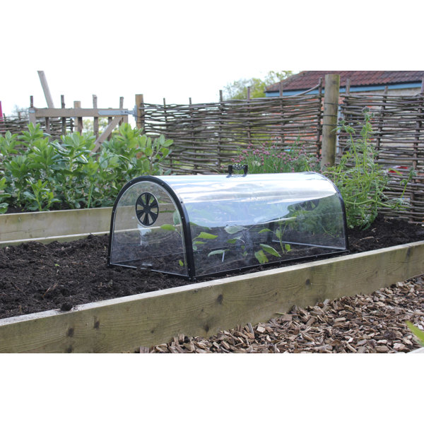 How to Use Cloches and Critter Cages to Protect Young Plants