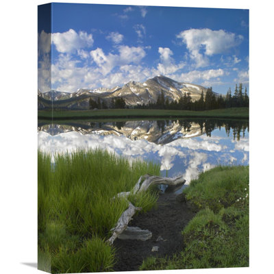" Mammoth Peak Reflected In Seasonal Pool, Yosemite Np, California " by Tim Fitzharris