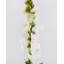 Real Touch Snapdragon rose 23 po-1814292122