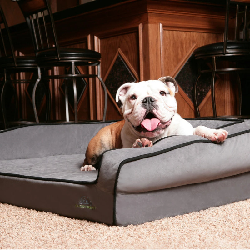 Lit pour chien Crown Bolster, Moyen (l 33 po x P 24 po x H 9 po), Gris Fathom