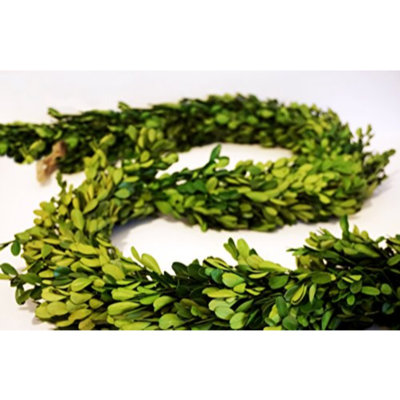 72'' in. Preserved Boxwood Garland
