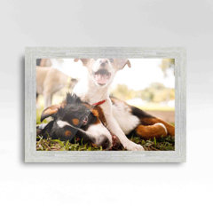 Red Barrel Studio® Heilig Picture Frames Collage with 12 Openings