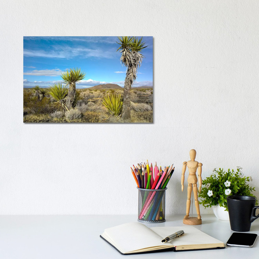 Joshua Tree, Cinder Cones, And Other Desert Vegetation, Mojave National Preserve, California von Tim Fitzharris - Galler...