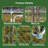 82.7 " H Steel Yard Kennel with Pet Door