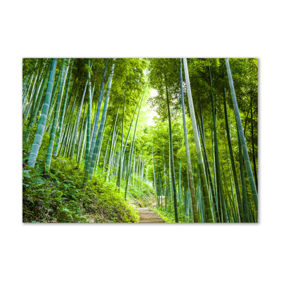Bamboo Forest - Wrapped Canvas Print