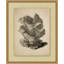 Sepia Sealife 7 Print