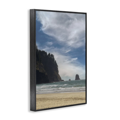 «Ocean Shore with Distant Cliff», art de la giclée encadrée, par Don Schwartz