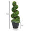 90cm Plant