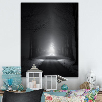 " Misty Road Through The Forest III "