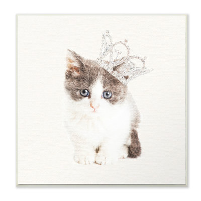 « chat royalty », impression