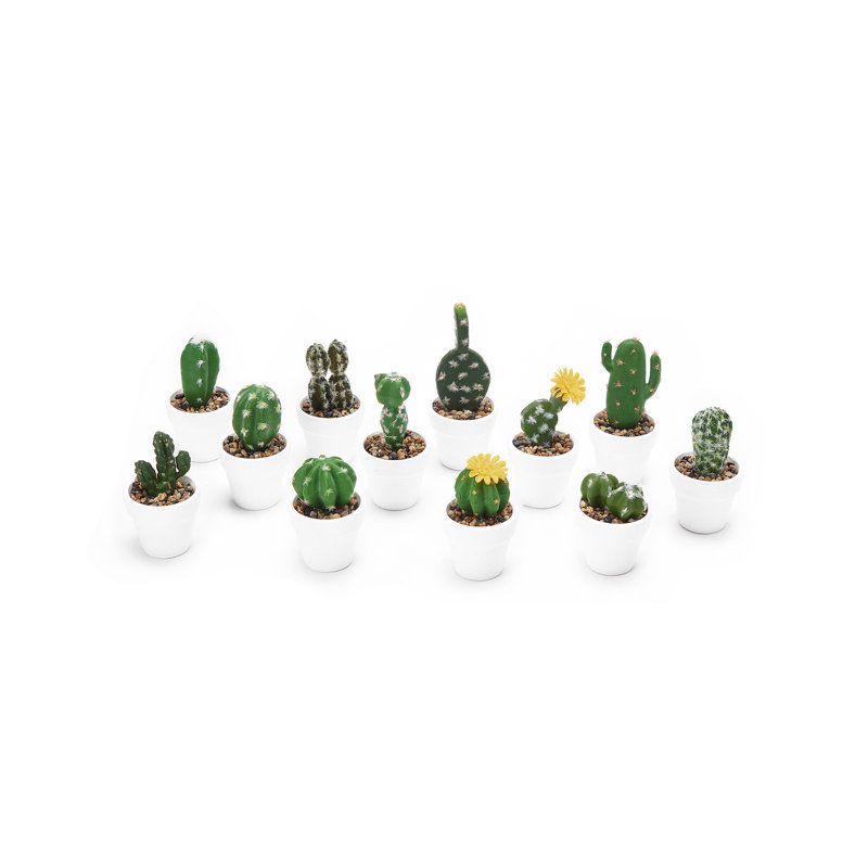 12 plantes grasses artificielles en pot