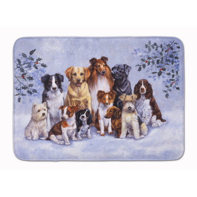 Memory Foam Non-Slip Bath Rug