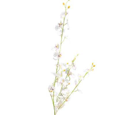 Faux Silk Orchid Arrangement