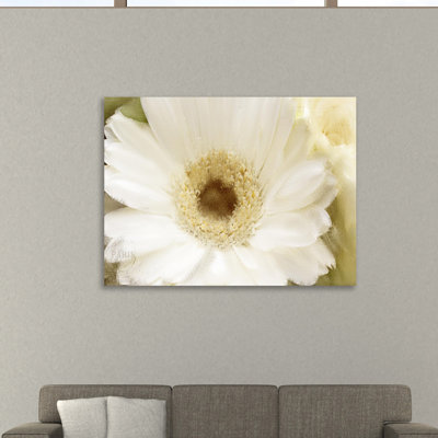In Bloom by Kimberly Allen - Wrapped Canvas Print