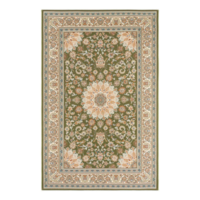 Indoor/Outdoor Traditional Area Rug