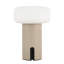 Lampe portable d'extérieur à DEL à intensité variable 8 po Shilo-368223399