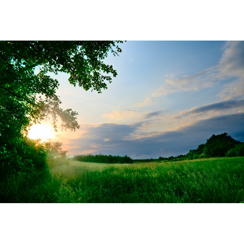 Coucher de soleil sur le pré par Spooh, H 20 po x l 30 po