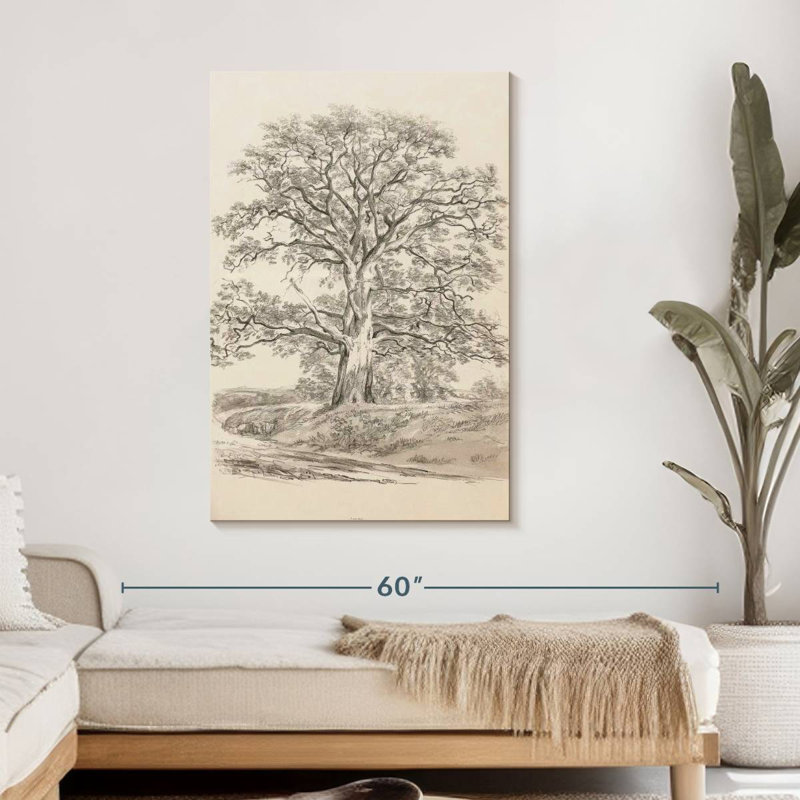 Un grand chêne, H 45 po x l 30 po