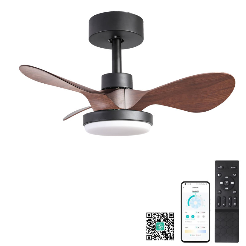 Petit ventilateur de plafond noir 24 po avec télécommande, Brun