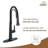 Spring Neck Standard Kitchen Faucet with Dual-Function spray head and Deck Plate-76655468