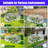Portable Mini Greenhouse-111160148