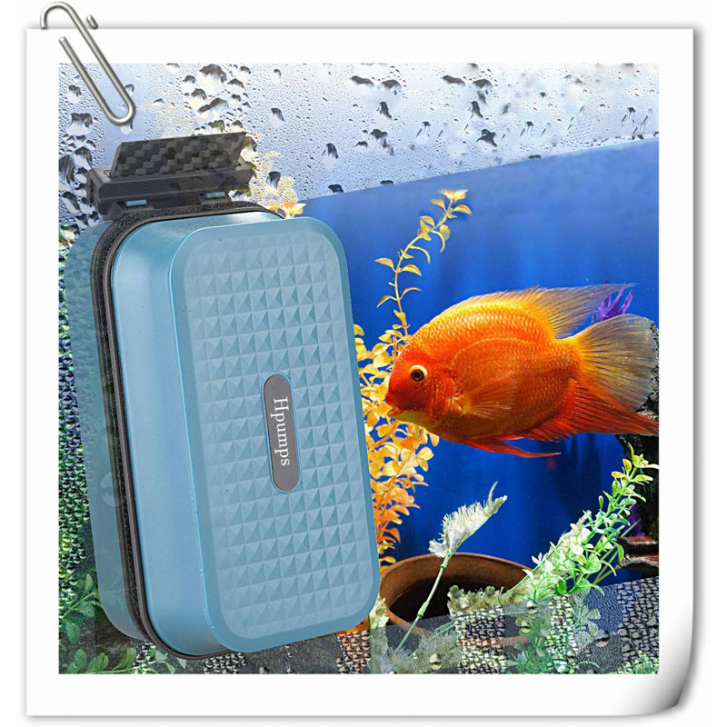 Brosse à vitre magnétique pour aquarium