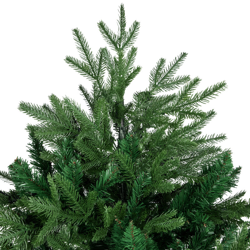 Pine Christmas Tree, 6'5'' H