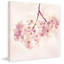 «Cherry Blossoms» par Sylvia Cook - impression sur toile tendue-16728413