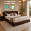 Cadre de lit rembourré avec tête de lit, sommier non nécessaire, matelas non inclus, lit plateforme moderne de style nuage-1194939962-1194939964