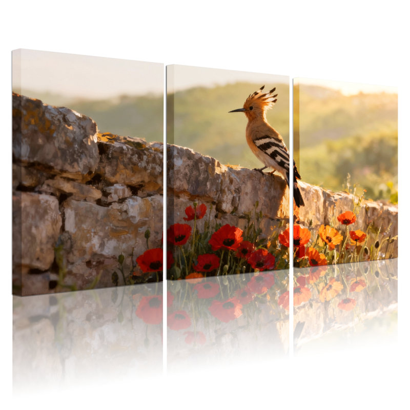 Oiseaux oiseaux sur mur de pierre avec coquelicots, ensemble de 3 impressions sur toile, H 18 po x l 36 po