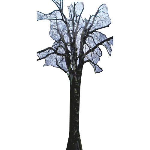H13677 Arbre debout Anne Frank's