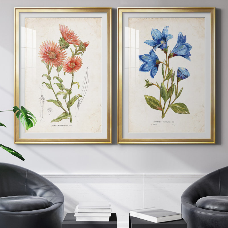 «Botanical I», ensemble de 2 reproductions d'art, Blanc, H 26,5 po x l 73 po x P 1,5 po, Papier encadré doré