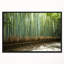 «Beautiful View of Bamboo Forest», reproduction de photo sur toile tendue-258701432-258701434