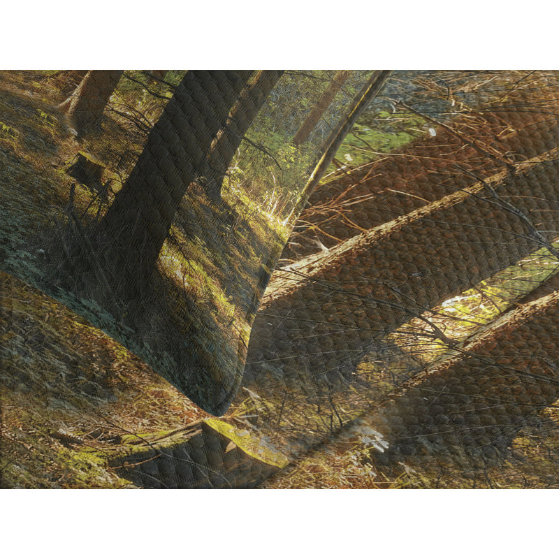 Ambesonne Autumn Bedspread Sunset Dark Pine, King Bedspread + 2 Standard Shams
