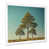 White Single Picture Framed