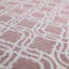 Carina Washable Rugs Trellis Design in Pink-1718309949