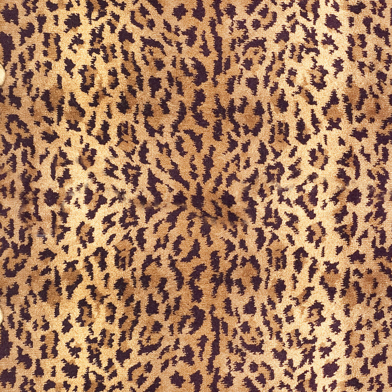 Fl01 Area Rug In Multi, Rectangle 4' x 6'