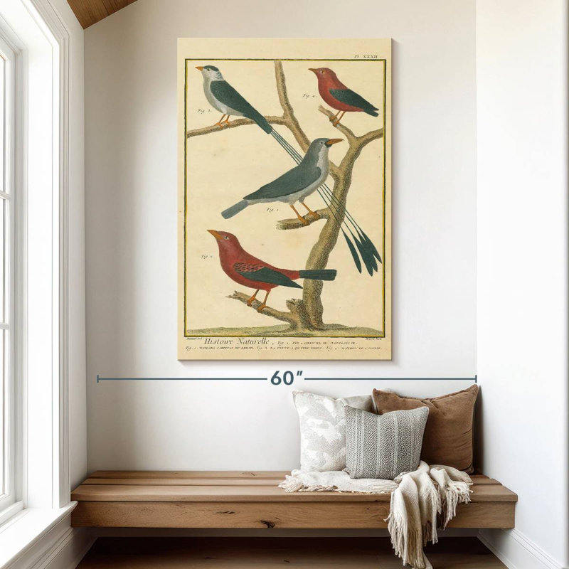 Brampt Bird Drawing I, 51" H x 34" W