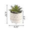 Plante molle artificielle en pot-35758084-35758080
