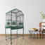 Cage de vol élégante vert moyen-132420539-112745264