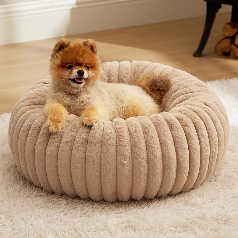 Lit pour chien Bedsut Donut, S (H 7 po x l 23 po x P 23 po), Sable