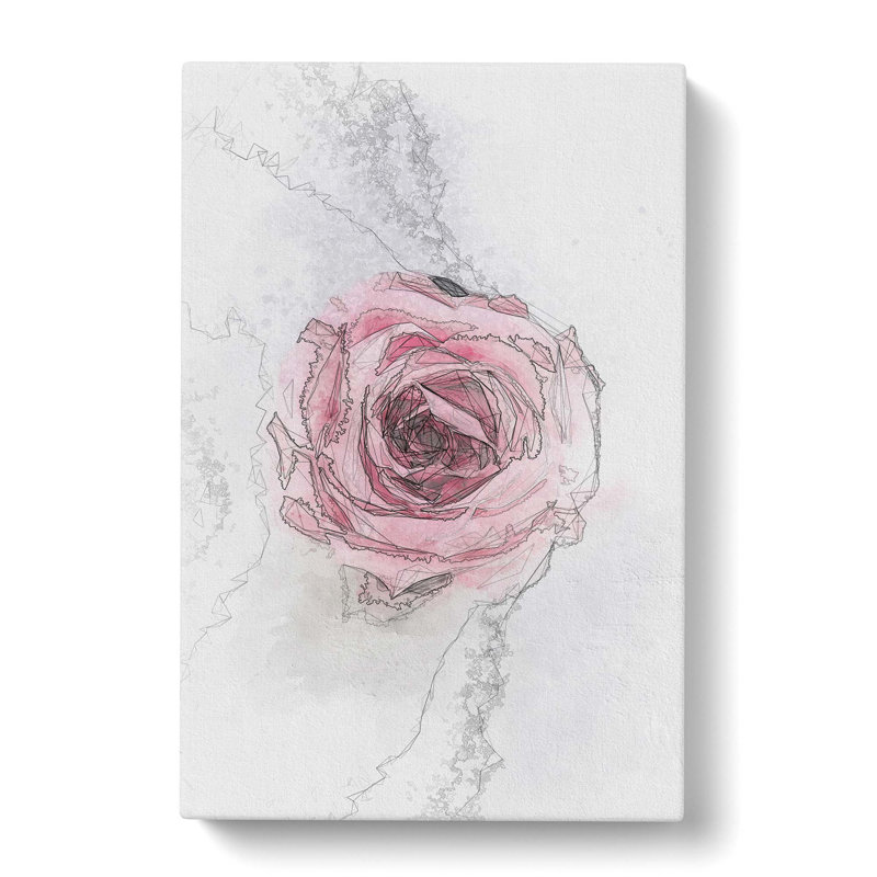 Lone Pink Rose Abstract Art - Wrapped Canvas Drawing - Wrapped Canvas, 76cm H x 50cm W x 3cm D