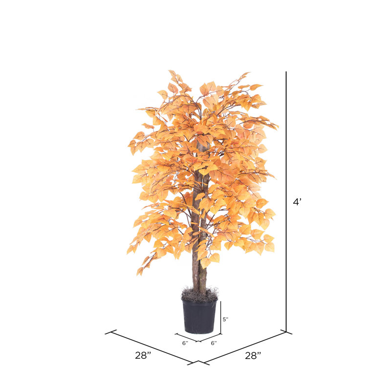 Artificial Golden Aspen Series, 48" H x 28" W x 28" D, Black