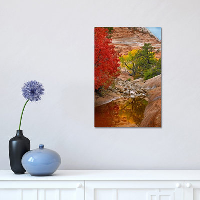 Maple and Cottonwood Autumn Foliage, Zion National Park 1 Piece Wrapped Canvas Wall Art