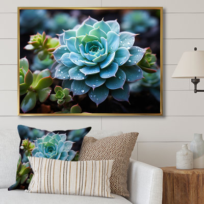 Bleu succulent serein